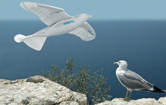 Команда разработчиков из Festo создала чайку-робота SmartBird