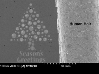 В Шотландии изготовили рождественскую нанооткрытку